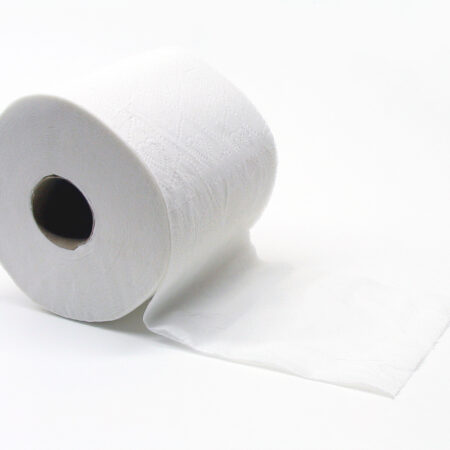 Toilet Paper (12 rolls)