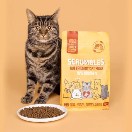 Cat Food, Dry (2 kg)