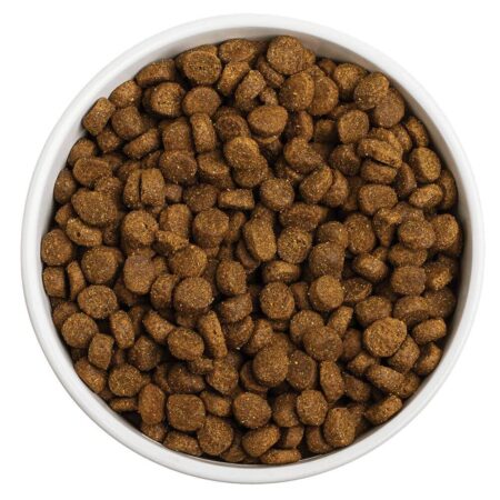 Dog Food, Dry (3 kg)