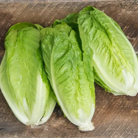 Romaine Lettuce (1 head)